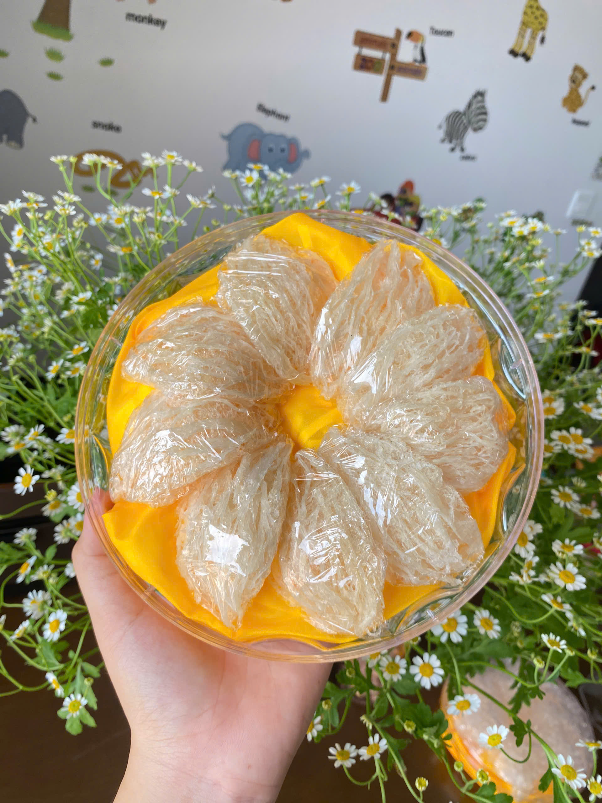 Yến sào tinh chế sợi ngắn 100g