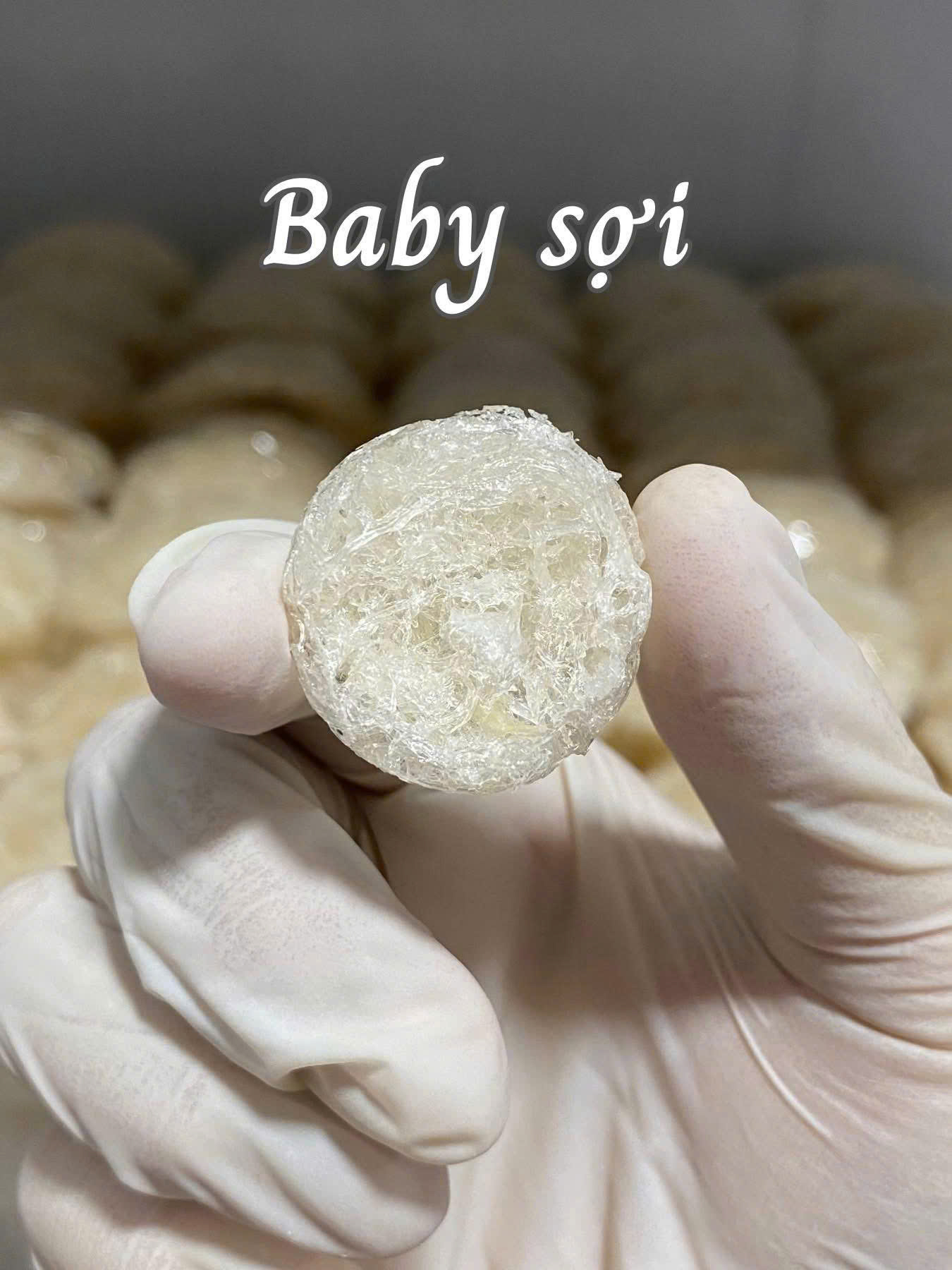 Yến sào viên Baby